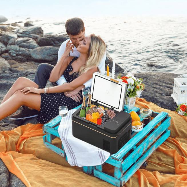 Portable Auto Fridge