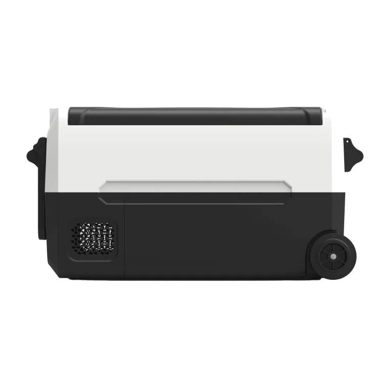 refrigerador para un coche