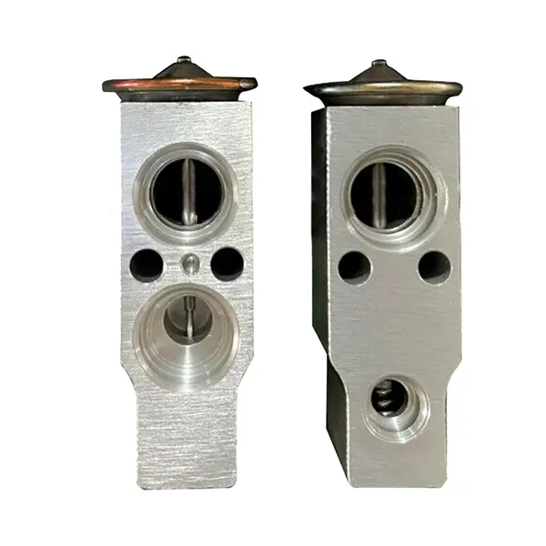 AC.119.072 expansion valve