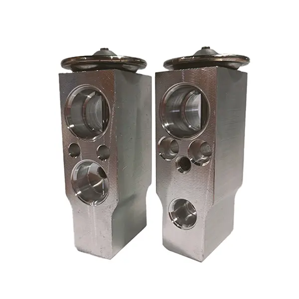 AC.119.098 expansion valve