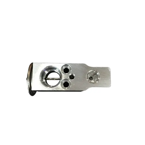 AC.119.098 expansion valve