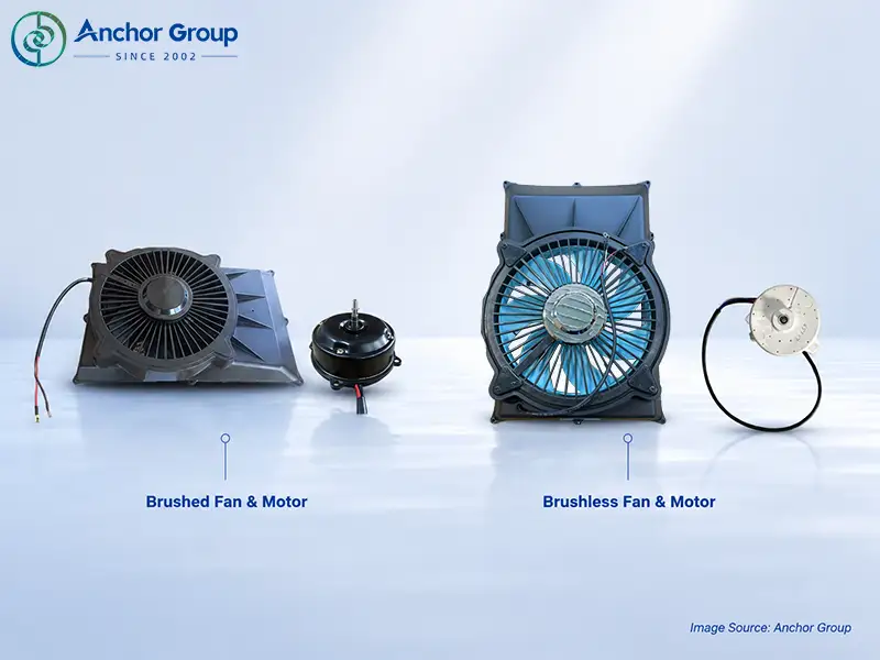 This picture shows the brushed motors or brushless DC (BLDC) motors.